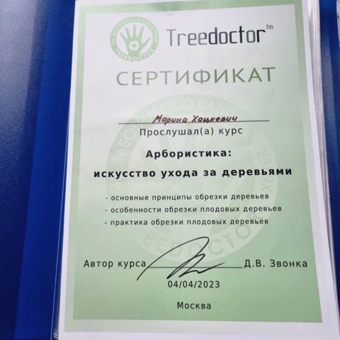 Сертификат «Арбористика: искусство ухода за деревьями»