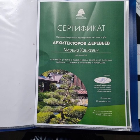 Сертификат практикума по осенним работам с соснами