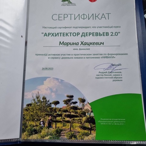 Сертификат практикума по формированию ниваки, август 2023
